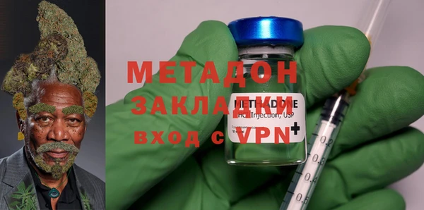 индика Новозыбков