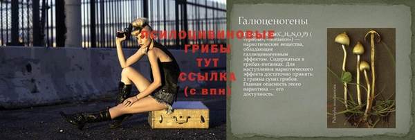 твердый Новокубанск
