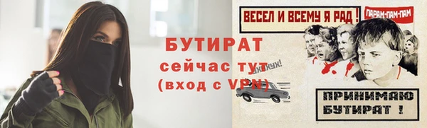 индика Новозыбков