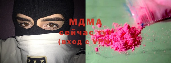 индика Новозыбков