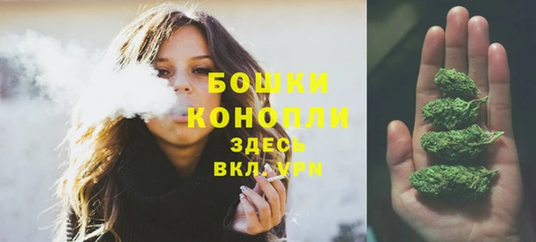 твердый Новокубанск