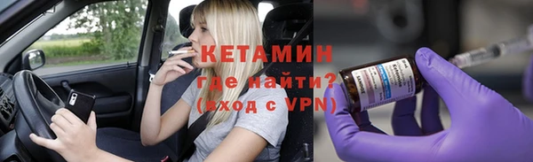 индика Новозыбков