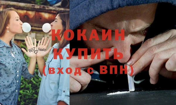 индика Новозыбков