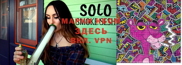 индика Новозыбков