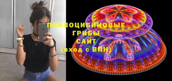 твердый Новокубанск