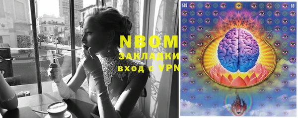 твердый Новокубанск