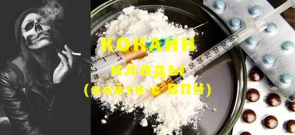 индика Новозыбков