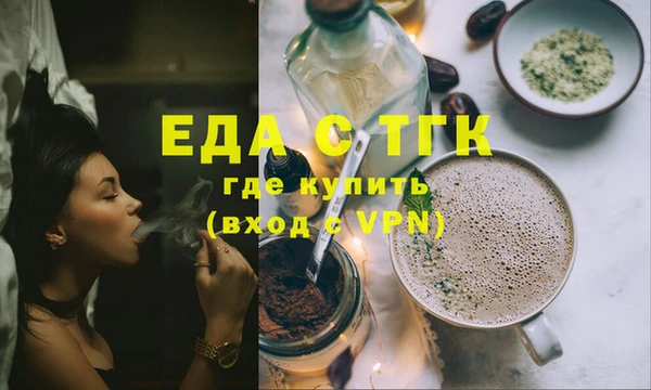 индика Новозыбков
