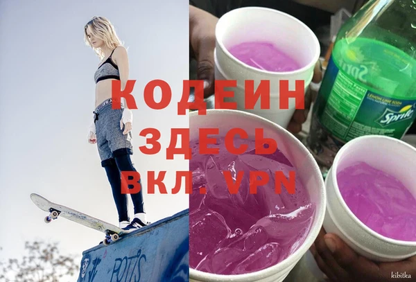 индика Новозыбков