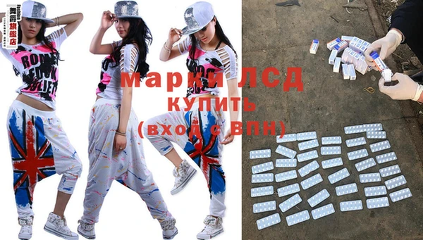 индика Новозыбков