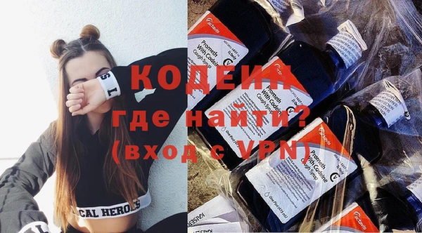индика Новозыбков