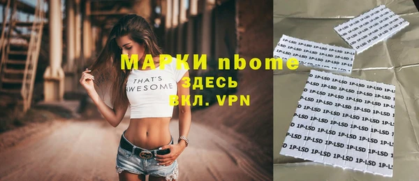 индика Новозыбков
