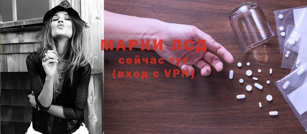 индика Новозыбков