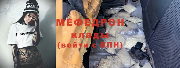 индика Новозыбков