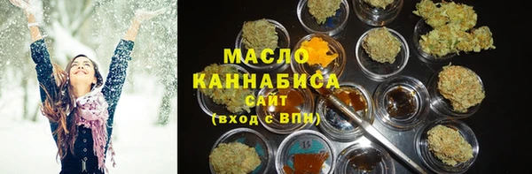 индика Новозыбков