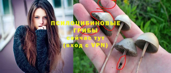 наркотики Новодвинск