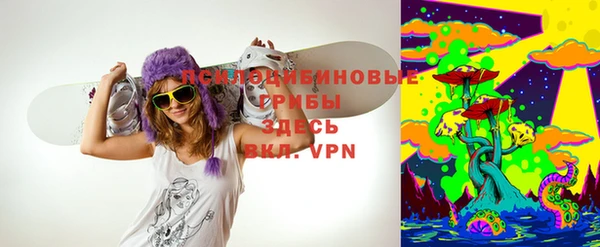 твердый Новокубанск