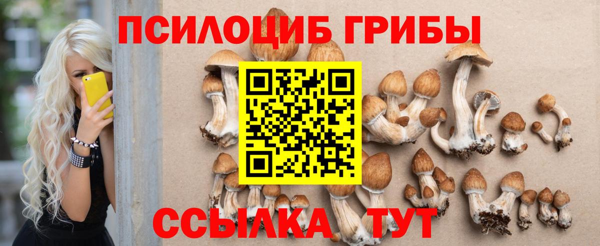 Шарыпово  Галлюциногенные грибы прущие грибы  Галлюциногенные грибы прущие грибы  Вход с VPN 