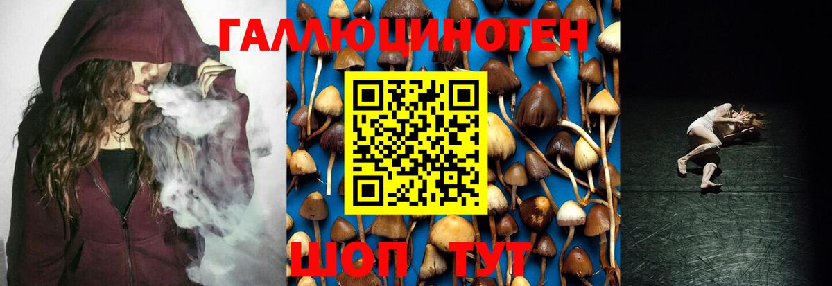 Галлюциногенные грибы мицелий Шарыпово